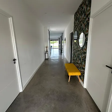 Noam Standing 220m2